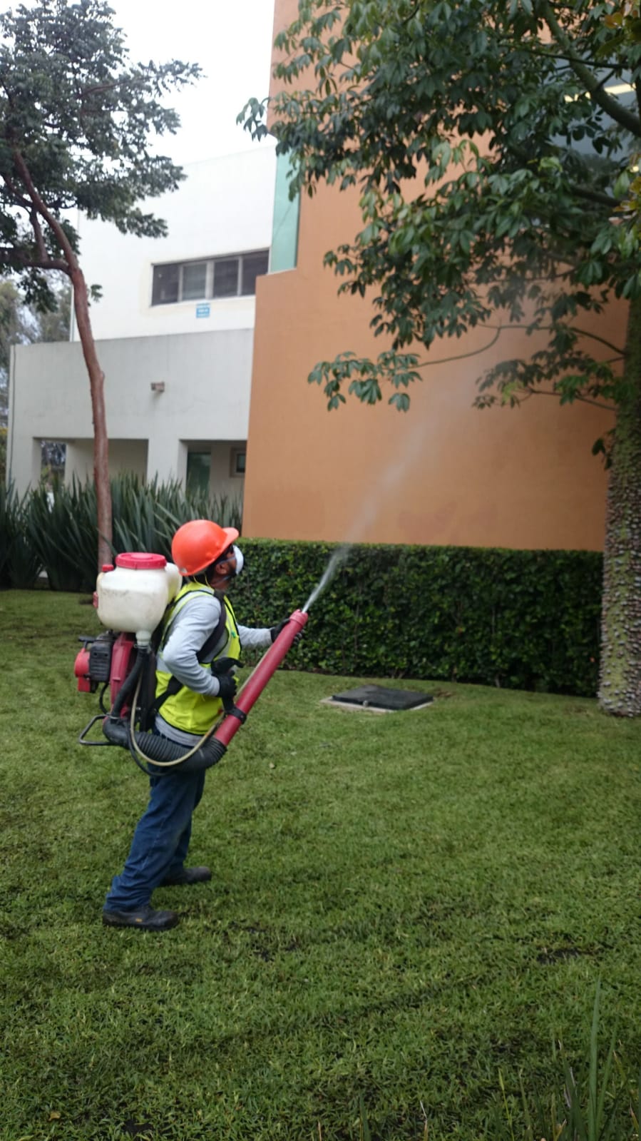 Fumigación después